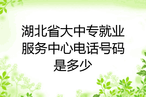 湖北省大中专就业服务中心电话号码是多少