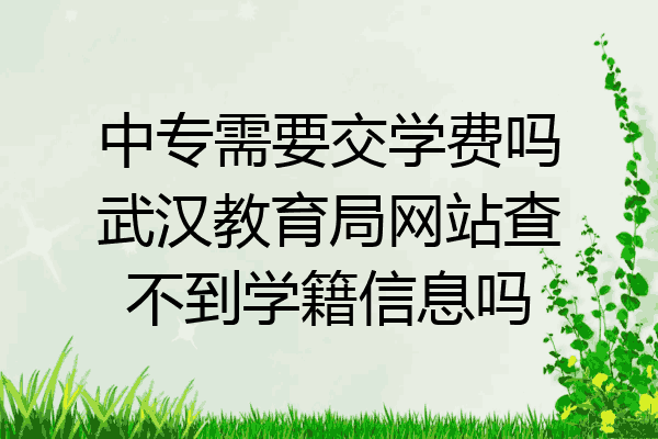中专需要交学费吗武汉教育局网站查不到学籍信息吗