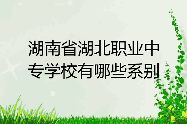湖南省湖北职业中专学校有哪些系别