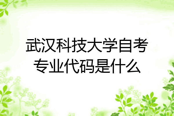 武汉科技大学自考专业代码是什么