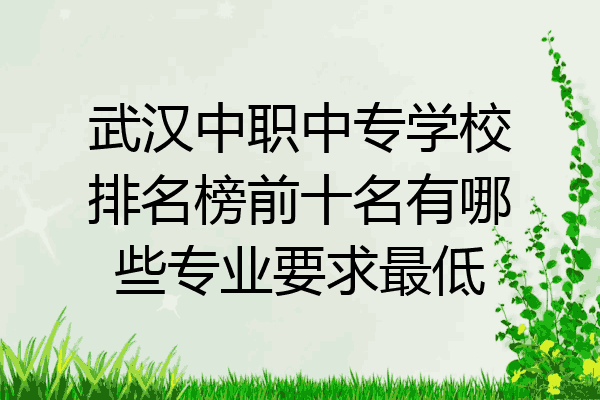 武汉中职中专学校排名榜前十名有哪些专业要求最低