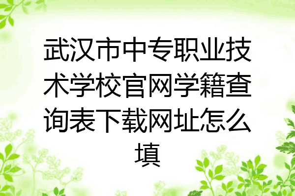 武汉市中专职业技术学校官网学籍查询表下载网址怎么填