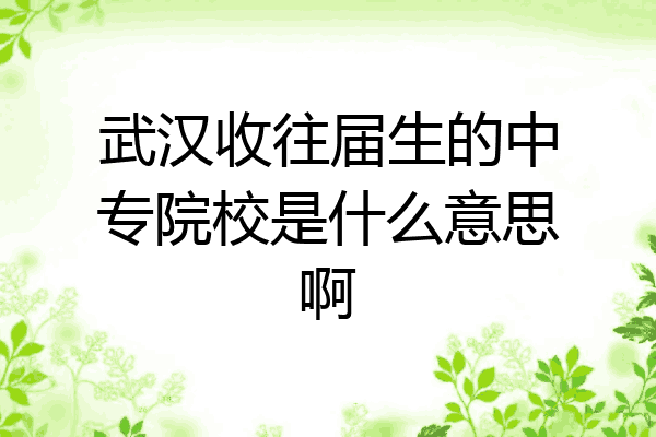 武汉收往届生的中专院校是什么意思啊