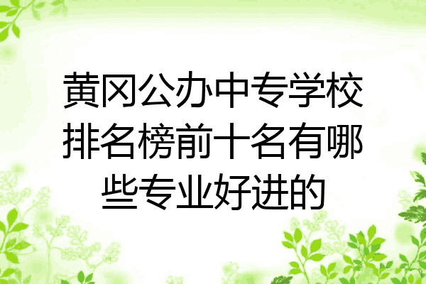 黄冈公办中专学校排名榜前十名有哪些专业好进的