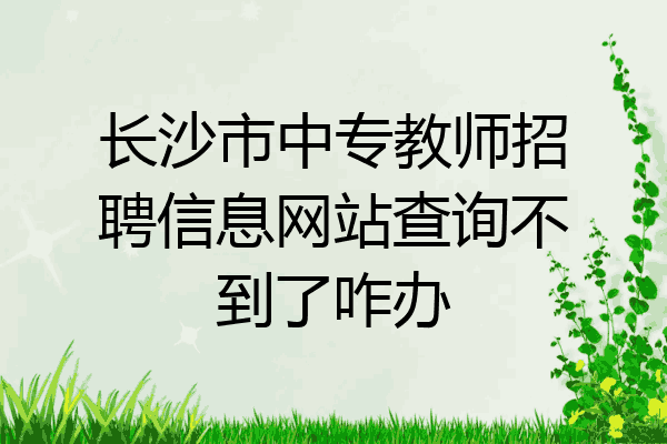 长沙市中专教师招聘信息网站查询不到了咋办