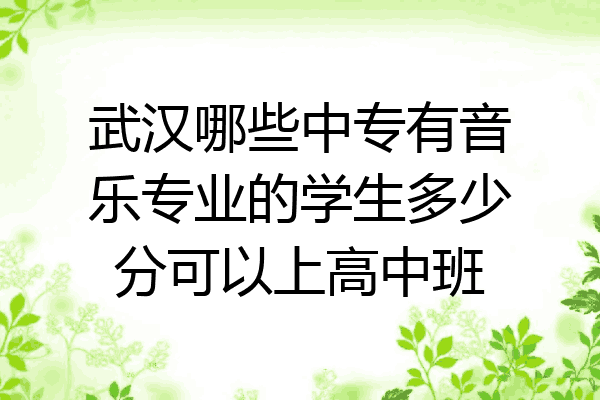 武汉哪些中专有音乐专业的学生多少分可以上高中班