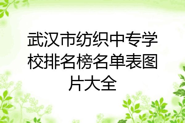 武汉市纺织中专学校排名榜名单表图片大全