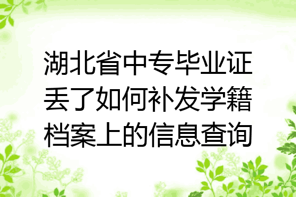 湖北省中专毕业证丢了如何补发学籍档案上的信息查询