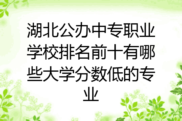 湖北公办中专职业学校排名前十有哪些大学分数低的专业