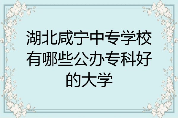 湖北咸宁中专学校有哪些公办专科好的大学