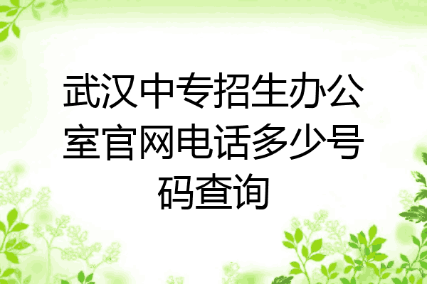 武汉中专招生办公室官网电话多少号码查询