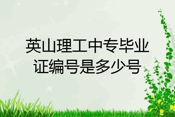 英山理工中专毕业证编号是多少号