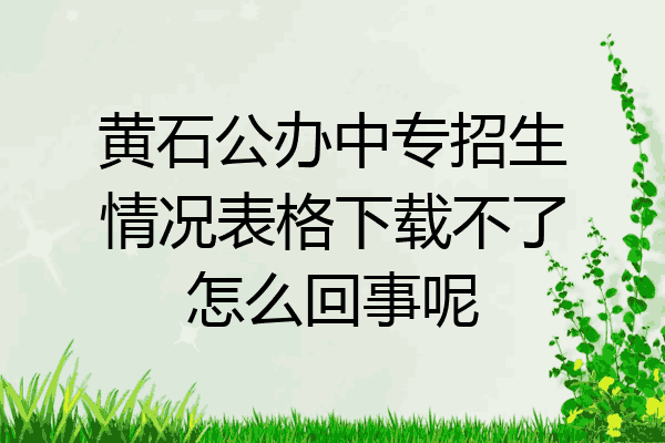 黄石公办中专招生情况表格下载不了怎么回事呢