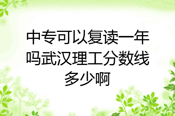 中专可以复读一年吗武汉理工分数线多少啊