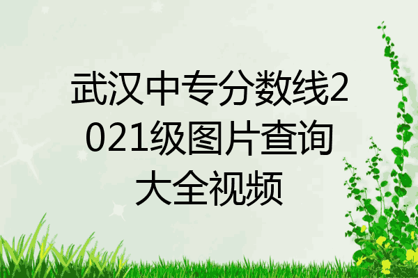 武汉中专分数线2021级图片查询大全视频