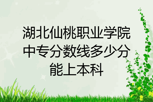 湖北仙桃职业学院中专分数线多少分能上本科