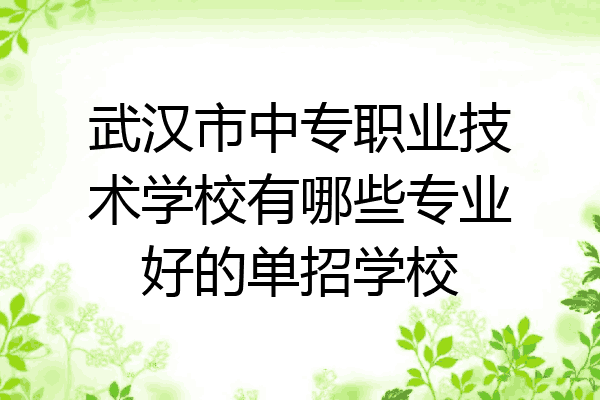 武汉市中专职业技术学校有哪些专业好的单招学校