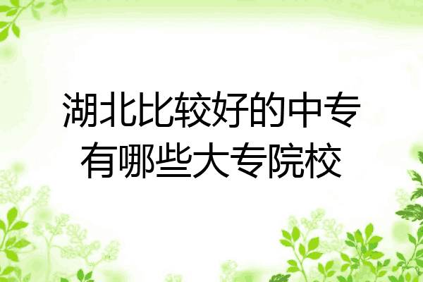 湖北比较好的中专有哪些大专院校