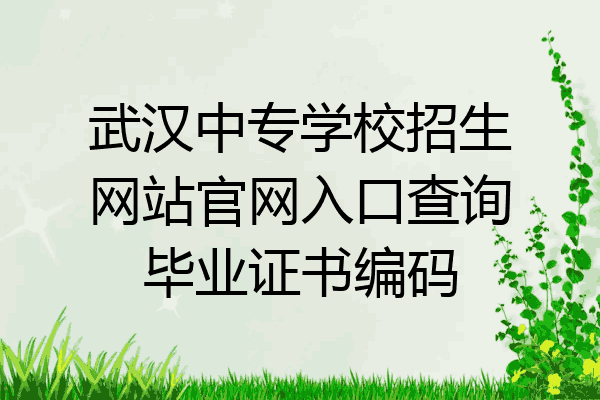 武汉中专学校招生网站官网入口查询毕业证书编码