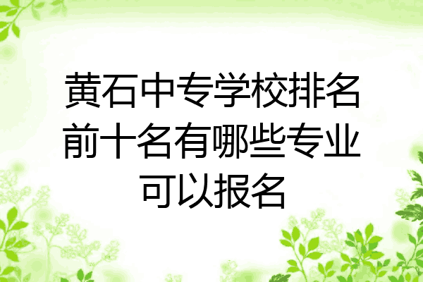黄石中专学校排名前十名有哪些专业可以报名