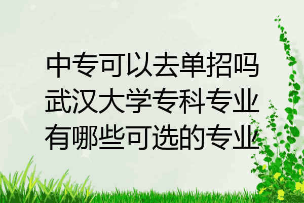 中专可以去单招吗武汉大学专科专业有哪些可选的专业