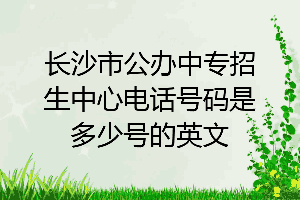 长沙市公办中专招生中心电话号码是多少号的英文