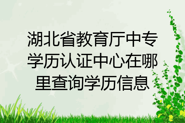湖北省教育厅中专学历认证中心在哪里查询学历信息