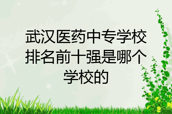 武汉医药中专学校排名前十强是哪个学校的