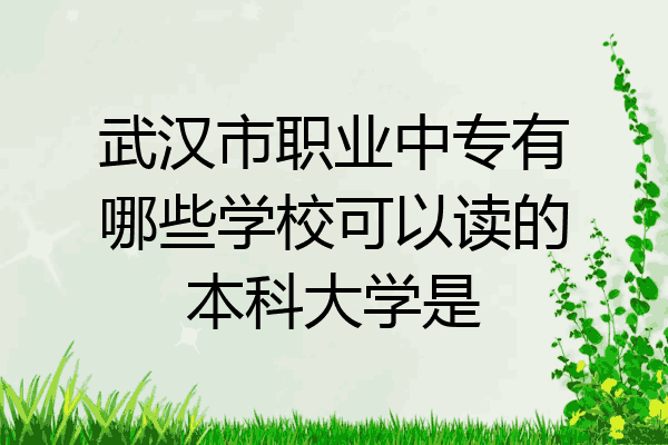 武汉市职业中专有哪些学校可以读的本科大学是