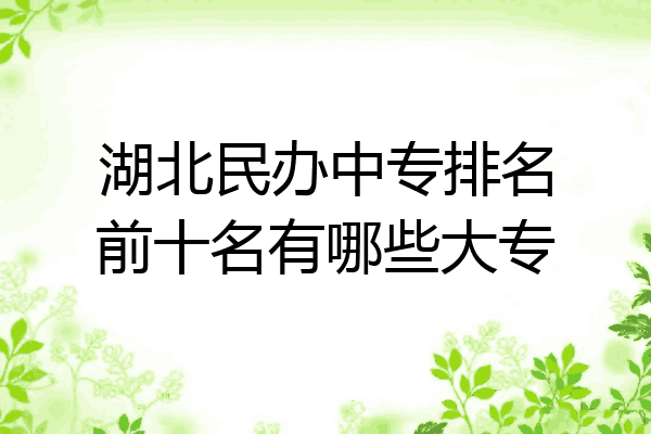 湖北民办中专排名前十名有哪些大专