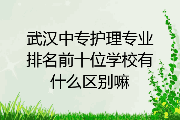 武汉中专护理专业排名前十位学校有什么区别嘛