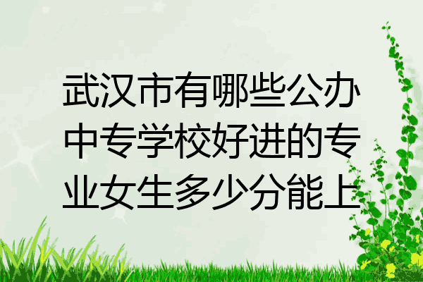 武汉市有哪些公办中专学校好进的专业女生多少分能上