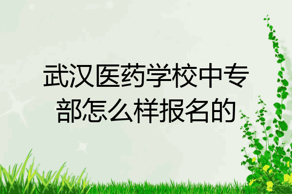 武汉医药学校中专部怎么样报名的
