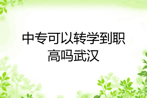 中专可以转学到职高吗武汉