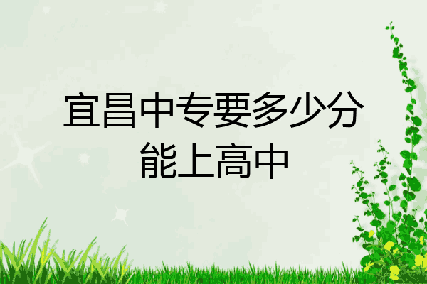 宜昌中专要多少分能上高中