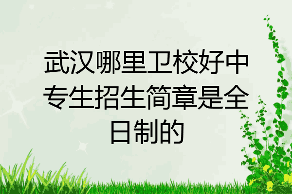 武汉哪里卫校好中专生招生简章是全日制的