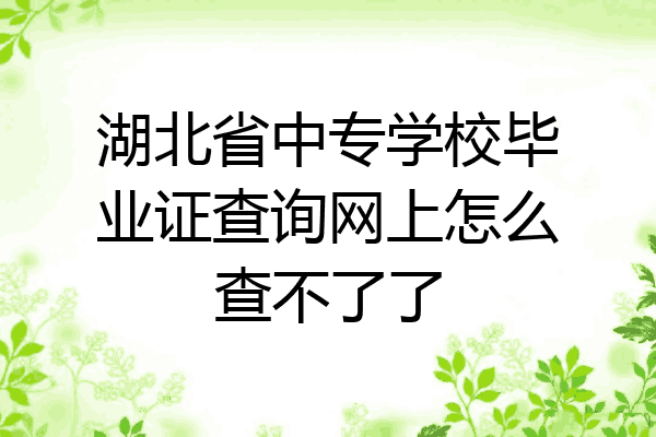 湖北省中专学校毕业证查询网上怎么查不了了