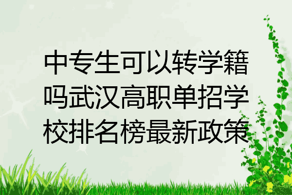 中专生可以转学籍吗武汉高职单招学校排名榜最新政策