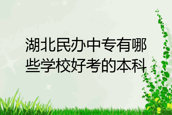 湖北民办中专有哪些学校好考的本科