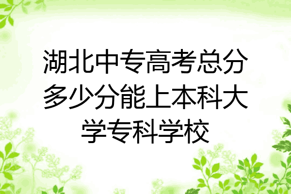 湖北中专高考总分多少分能上本科大学专科学校
