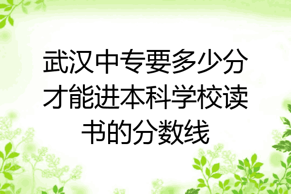 武汉中专要多少分才能进本科学校读书的分数线
