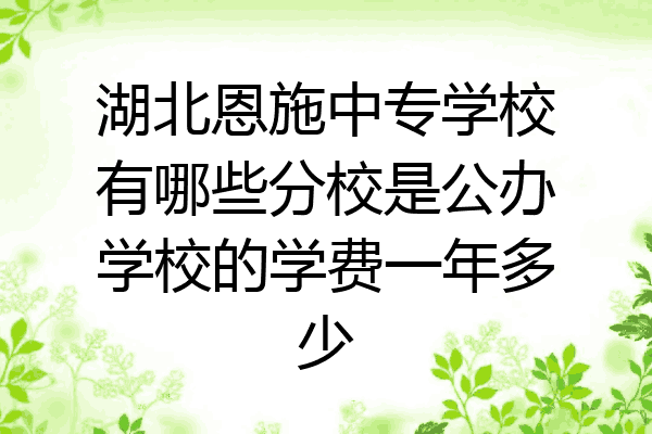 湖北恩施中专学校有哪些分校是公办学校的学费一年多少