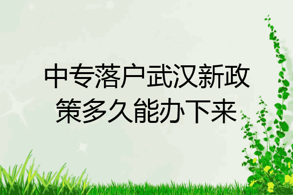 中专落户武汉新政策多久能办下来