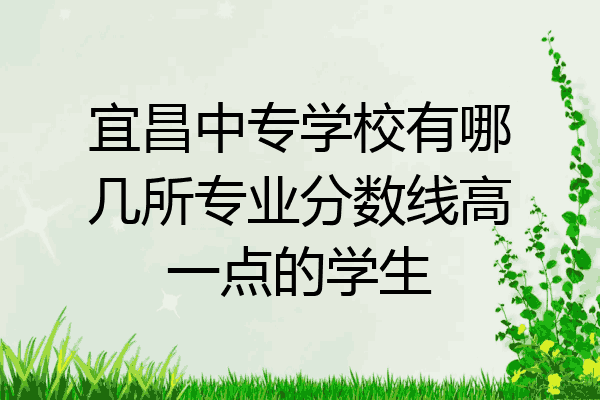 宜昌中专学校有哪几所专业分数线高一点的学生