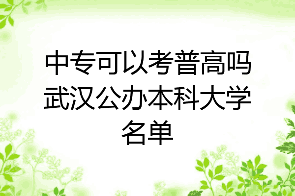 中专可以考普高吗武汉公办本科大学名单