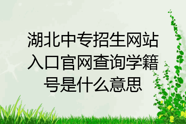湖北中专招生网站入口官网查询学籍号是什么意思