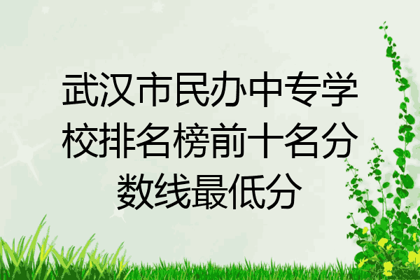 武汉市民办中专学校排名榜前十名分数线最低分