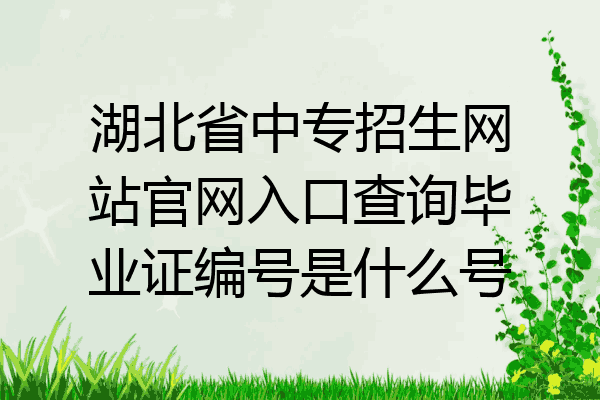 湖北省中专招生网站官网入口查询毕业证编号是什么号