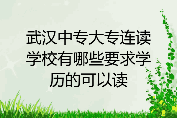 武汉中专大专连读学校有哪些要求学历的可以读