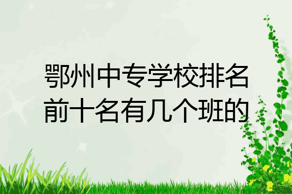 鄂州中专学校排名前十名有几个班的